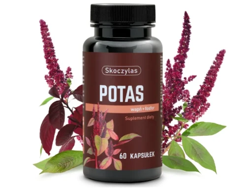 Potas + Wapń + Fosfor - Skoczylas