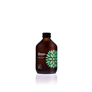 kombucha z ogórkiem i kolendrą bezglutenowa bio 330 ml - vigo.jpg