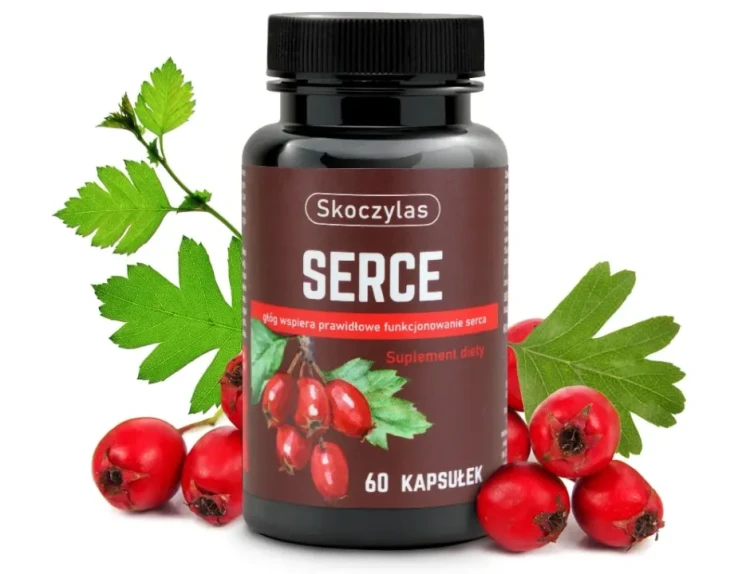 Serce  - Skoczylas