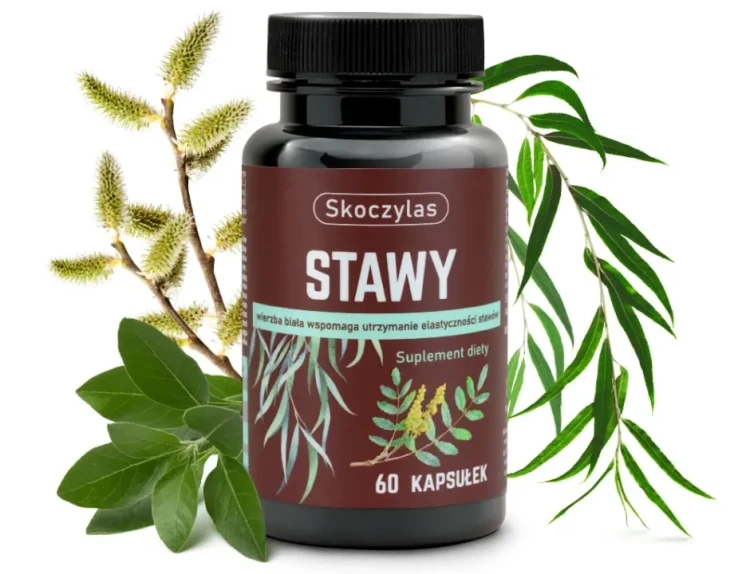 Stawy  - Skoczylas