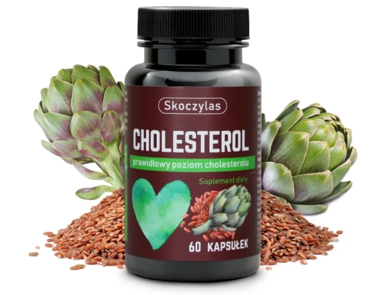 Cholesterol - Skoczylas