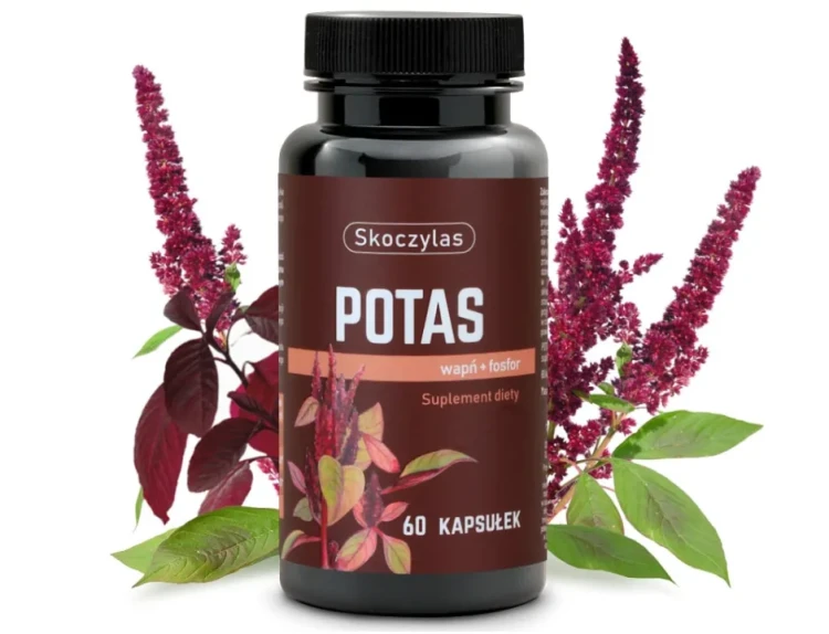 Potas + Wapń + Fosfor - Skoczylas