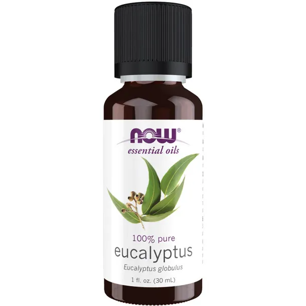 eucalyptus.webp